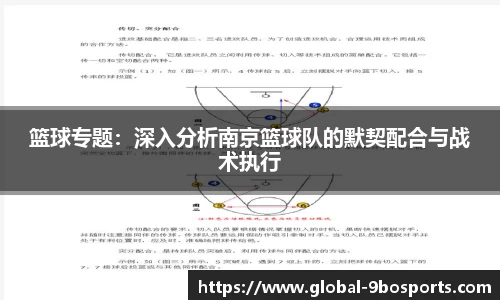 篮球专题：深入分析南京篮球队的默契配合与战术执行